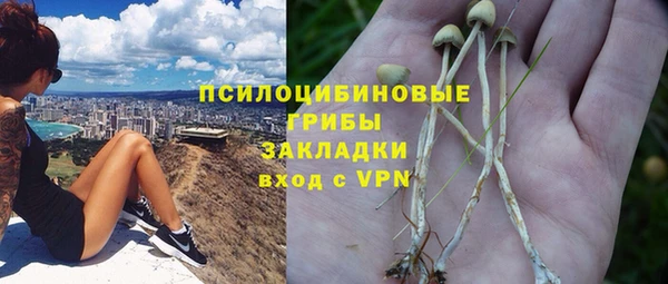apvp Вяземский